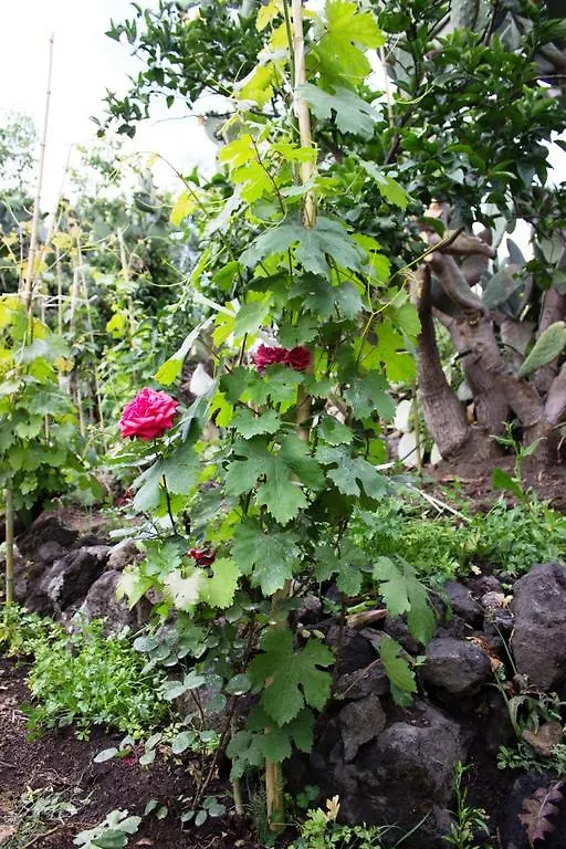 Vila Casa Macchia Giarre 0*,  Itálie